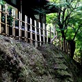 Photos: 東福寺風景