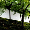 Photos: 東福寺の塀