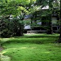 Photos: 三千院　苔の庭園9