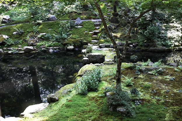 Photos: 三千院　池の庭園２