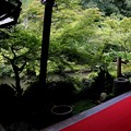 Photos: 実相院　部屋からの庭園風景
