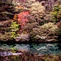 秋の瑠璃沼
