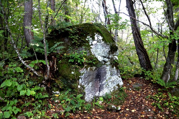 苔むす石の風景