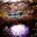 Photos: 瑠璃沼の紅葉