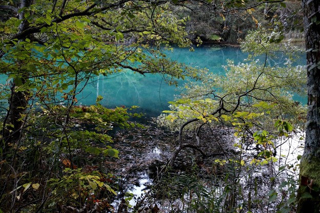 Photos: ブルーがセ冴える瑠璃沼