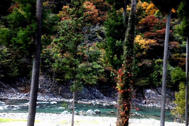 Photos: 久慈川の紅葉風景