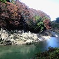 久慈川の紅葉風景２