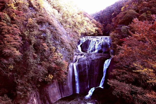 Photos: 袋田の滝の紅葉