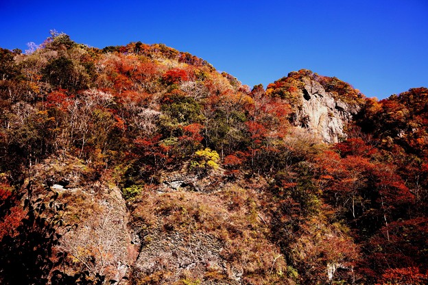 Photos: 袋田の滝　山の紅葉