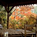 Photos: 太平寺の紅葉.２