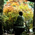 Photos: 紅葉を眺める仏像
