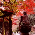 Photos: 紅葉と仏像２