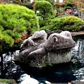 信玄の里宝石庭園４　カエルの石像