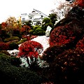 Photos: 信玄の里宝石庭園６