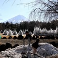 令和新年元日（令和二年）の野鳥の森からの富士山４