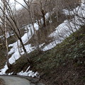 残雪のある一ノ倉沢への道