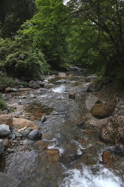 Photos: 小倉の滝へ沢の流れ２