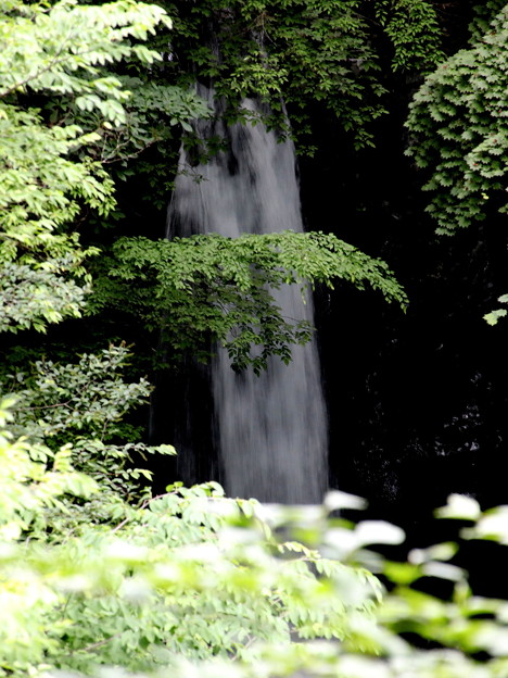 Photos: 小泉の滝