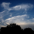 雲のアート