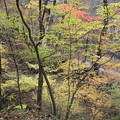 紅葉の散策　吾妻渓谷