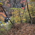 紅葉の色彩鮮やかな吾妻渓谷