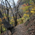 Photos: 紅葉を楽しむ　散策道の吾妻渓谷
