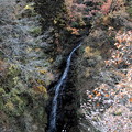 吾妻渓谷　白絹の滝の紅葉