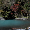 大井川の紅葉２