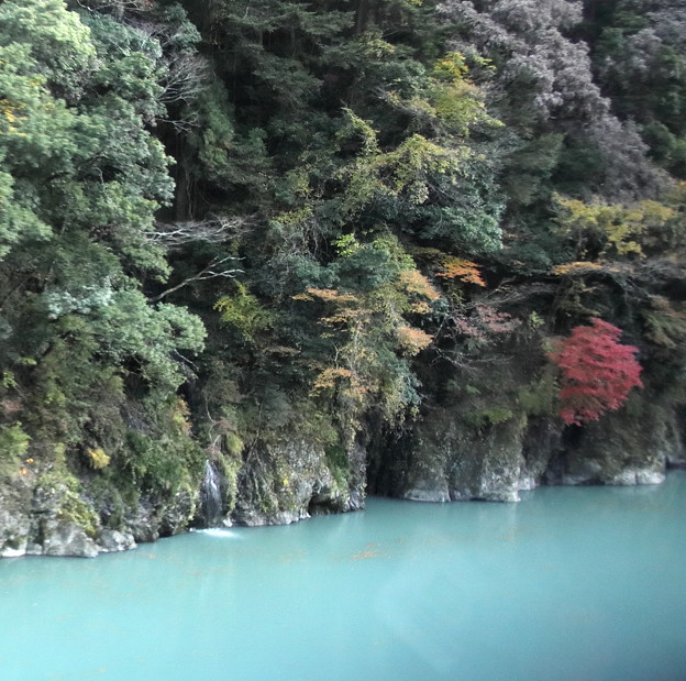 Photos: 大井川上流の紅葉