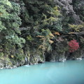 大井川上流の紅葉
