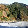 大井川の紅葉７