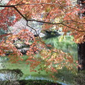 紅葉の薬師池公園