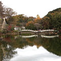 薬師池の秋風景