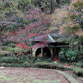 薬師池公園　水車小屋の紅葉