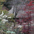 薬師池公園　旧萩野家の紅葉