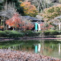 紅葉の薬師池風景