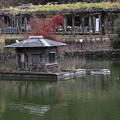 池の中の小屋と藤棚