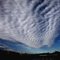 Photos: 今日の朝の雲（２０２０１２１９）