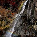 Photos: 虹の滝