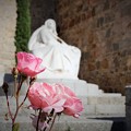 Photos: 聖テレサに捧げる薔薇～スペイン Gate Alcazar