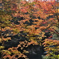 秋の三段峡(2)