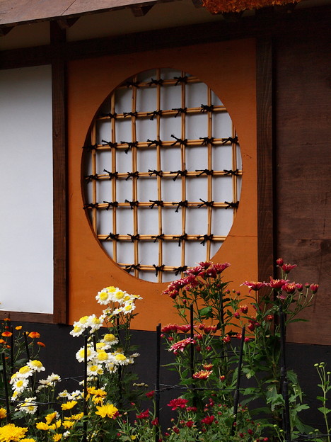 菊花に飾られた仁和寺
