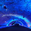 Photos: 美しき蒼きトンネル