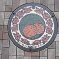 千葉県・白井市（マンホールカード図案）