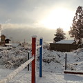 Photos: 雪積もった！！！