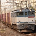 EF65 2086牽引高速貨物94レ小金井駅進入！
