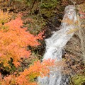 紅葉の白滝