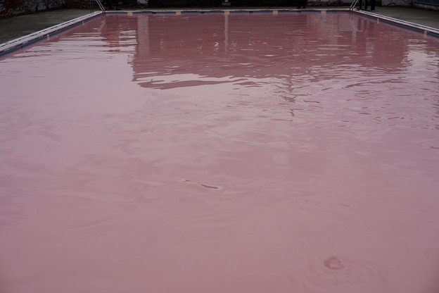 Photos: ピンクのプール
