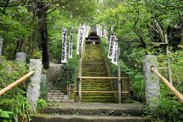 180911_56_苔の階段・S1650・α60(杉本寺) (1)