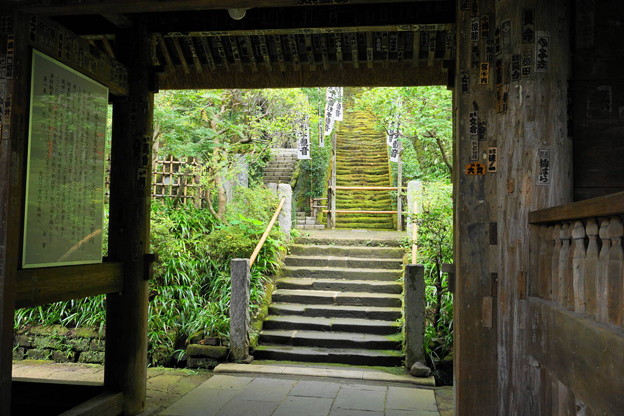 180911_83_三門からの階段・S1650・α60(杉本寺)